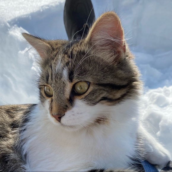 Meet your Posher, Judith - Picture 1 of 1